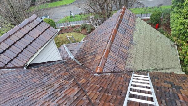 Roof Restoration