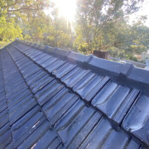 Ridge Tile Repair Work in Glen Iris